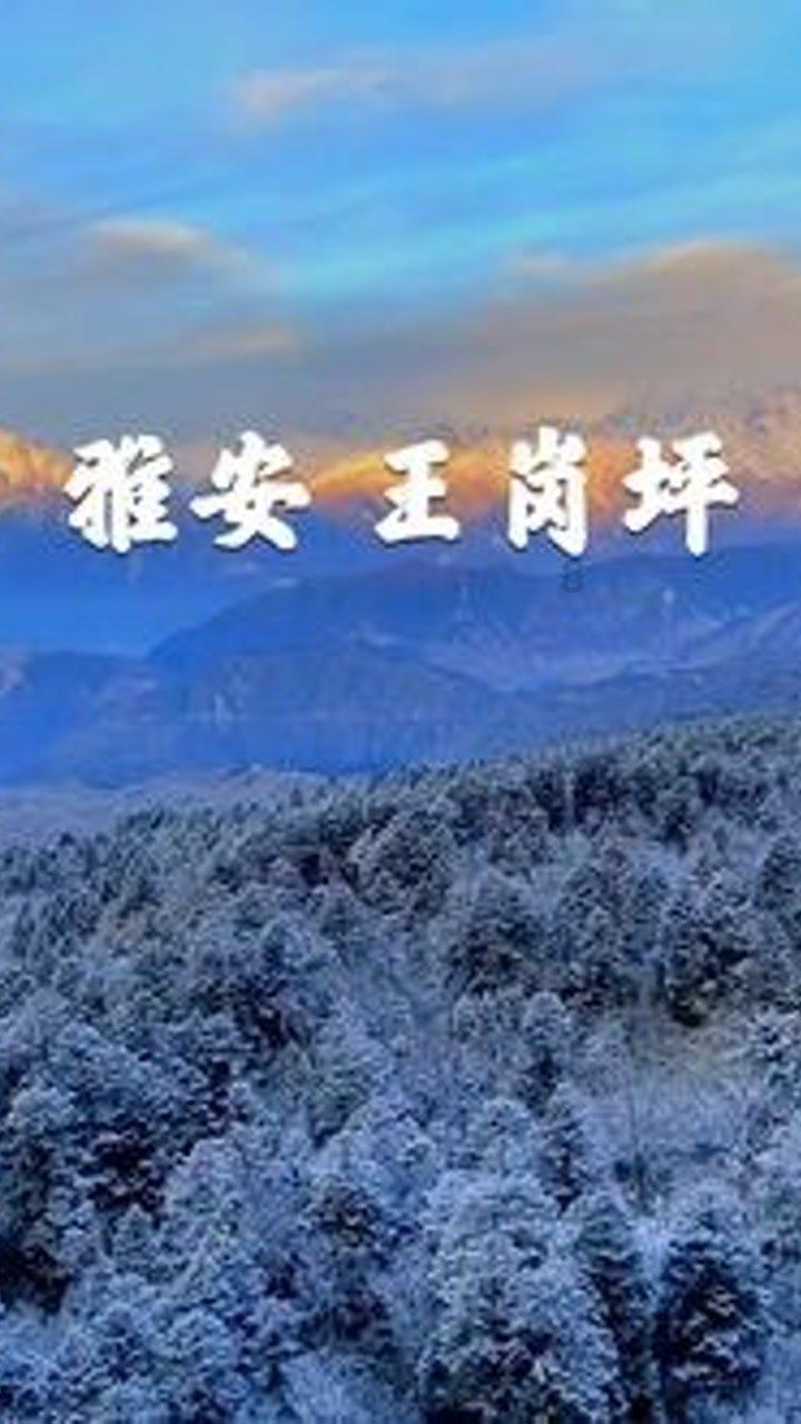 深海迷航